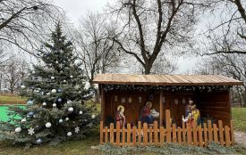 У Підгородньому встановили ялинку, яку виростило подружжя з цього села