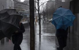 Дощ та туман прогнозують на Тернопільщині у найближчі дні