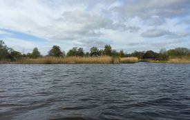 У ставку на Кременеччині знайшли потопельника