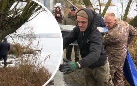 П'ять тонн мальків товстолоба запустили у Серет