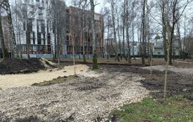 Демонтували дитячий майданчик та розчистили територію: що роблять у парку «Здоров’я»