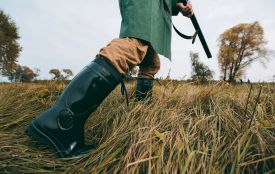 Між селами на Чортківщині будуть проводити санітарний відстріл хижих тварин