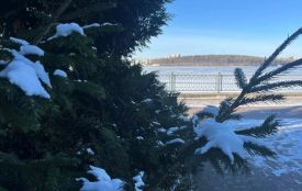 Вночі вулиці Тернополя розчищали від снігу. Якою буде погода у перші дні нового року