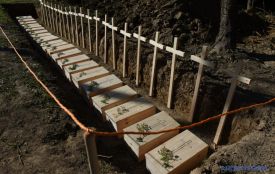 Мінкульт надав нові дозволи Польщі на пошукові роботи у Пужниках