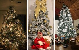 Традиції, символи та дитяча магія: як жителі Тернопільщини прикрасили ялинки до 2026 року