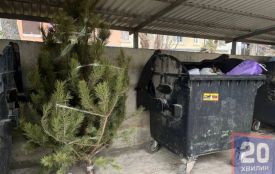 У смітник кидати не варто: куди подіти ялинку після свят
