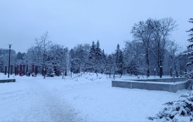 До 19° морозу прогнозують на Тернопільщині на 12-14 січня