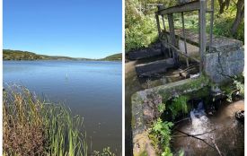 Прокуратура позивається до міськради на Тернопільщині за 110 га землі водного фонду