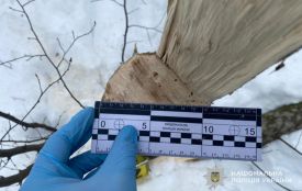 Хабар лісничому: на Чортківщині затримали чоловіка за спробу підкупу