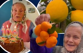 Баба Оля з Тернопільщини вирощує мандарини серед зими, ділиться рецептами та має 100-тисячний TikTok