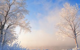 Морози протримаються до кінця тижня: прогноз погоди на Тернопільщині
