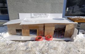 «Ми всі маємо допомагати»! Як тернополянка облаштувала «Пункт незламності для тварин»