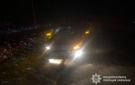 У ДТП на Кременеччині загинула 77-річна жінка