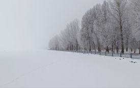 Не видно берега. Тернопільський став накрив густий туман