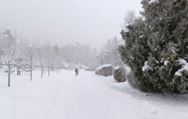 Штормове попередження оголосили на Тернопільщині через ожеледицю