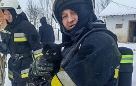 Чорний кіт впав у 18-метровий колодязь: На Чортківщині рятувальники звільнили чотирилапого