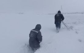 На Тернопільщині відбулися аварійні пошкодження електромереж