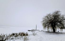 Ожеледиця та обмежена видимість: попередження для водіїв на 28–30 січня