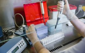 Як підготуватися до аналізів: їжа, вода, ліки, алкоголь, спорт — що впливає на показники (на правах реклами)