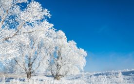 До 22 морозу принесе початок лютого на Тернопільщину