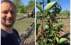 Ожина як терапія та $10 000 на бренд — історія подружжя Данилевичів з Тернопільщини