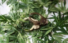 Жителя Чортківщини судили за незаконне придбання і зберігання канабісу