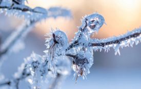 Новий тиждень принесе на Тернопільщину сніг та мороз до -14°
