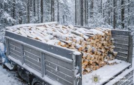 Передоплата за дрова обернулася збитками: жителька Чортківщини стала жертвою афериста