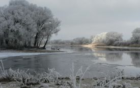 Мороз не відступає: якою буде погода в Тернополі та області до кінця тижня