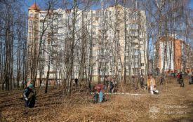 Фарбувати, прибирати, ремонтувати: двомісячник благоустрою проведуть у Тернополі