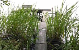 У парку «Загребелля» демонтують самовільно встановлені дерев’яні пірси