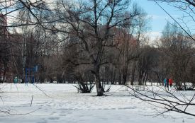 Довгоочікуване потепління вже на Тернопільщині: прогноз погоди на кінець лютого