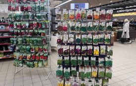 Помідори – 45 грн, кабачки – 12 грн, а кавуни майже 7 грн: де дешевше купити насіння у Тернополі