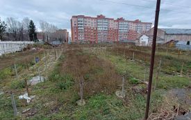 Землю біля зеленбуду, яку віддали в оренду під багатоповерхівку, можуть повернути громаді