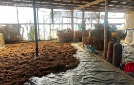 На Тернопільщині  судитимуть учасників організованої групи за незаконне виготовлення і збут тютюнових виробів