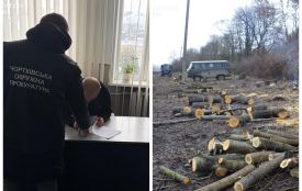 На Тернопільщині судитимуть посадовця через незаконні дозволи на вирубку дерев на 1,2 млн гривень