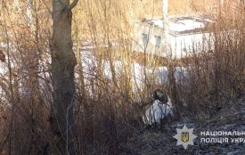 Перекинуту автівку виявили на узбіччі об'їзної в Кременці