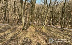 Від вибуху знайденого в лісі боєприпасу загинув 33-річний чоловік з Чотківщини