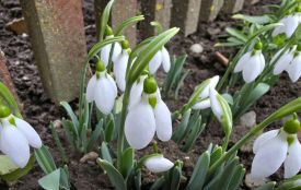 Сильні вітри прогнозують на Тернопільщині 14 березня