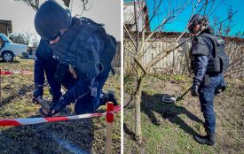 Міни, граната і снаряди — у полях та на подвір'ї: на Тернопільщині виявили небезпечні знахідки