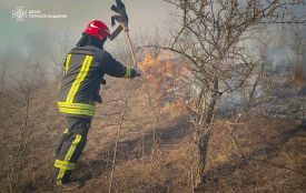 Більше 5,5 гектара за добу охопив вогонь на Тернопільщині: горіла суха трава, будинки і техніка