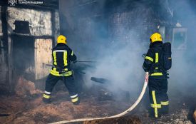 У Великіх Гаяя сталася пожежа на пилорамі