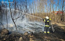 11 пожеж сухої трави ліквідували рятувальники Тернопільщини за минулу добу