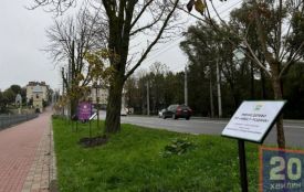 У Тернополі знову висаджуватимуть іменні дерева на підтримку ЗСУ