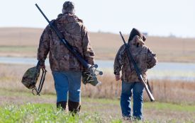 В Україні створили петицію про запровадження безстрокової заборони на полювання