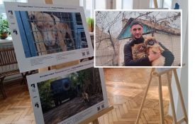 Врятовані з-під обстрілів: у Тернополі відкрили виставку про евакуацію тварин