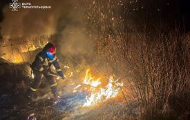 У Теребовлі вогонь охопив близько 2,5 гектара сухої трави