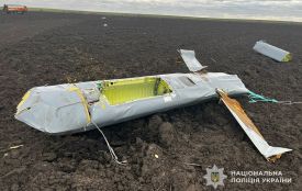 Уламки ракети Х—101 виявив місцевий у полі між селами Кам'янка та Романівка
