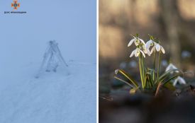 Карпати засипало снігом: чи чекати похолодання на Тернопільщині