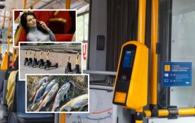 Новини Тернополя з 16 до 22 березня: дивіться відео!